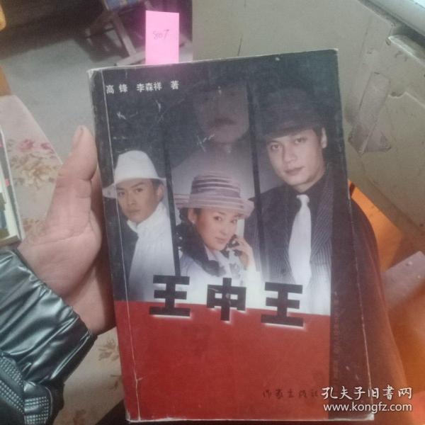 王中王資料一肖中天，深度解析與探索，王中王資料一肖中天，深度剖析與探索