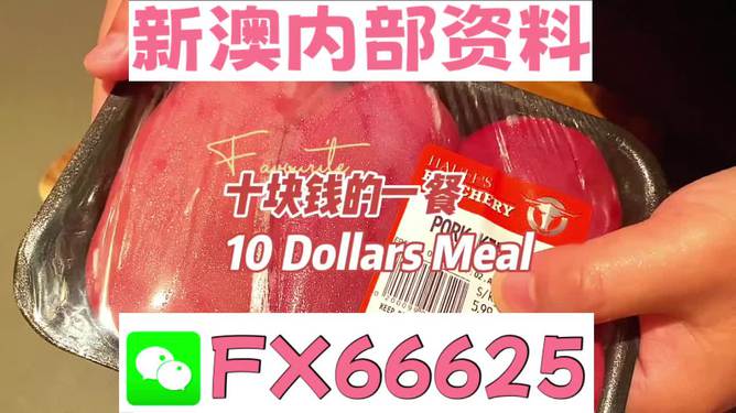 揭秘2025新澳精準資料免費大全——一站式獲取最新資源，揭秘2025新澳精準資料免費大全，最新資源一站式獲取