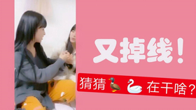 王中王欲錢詩(shī)猜一肖，王中王欲錢詩(shī)暗示的生肖之謎