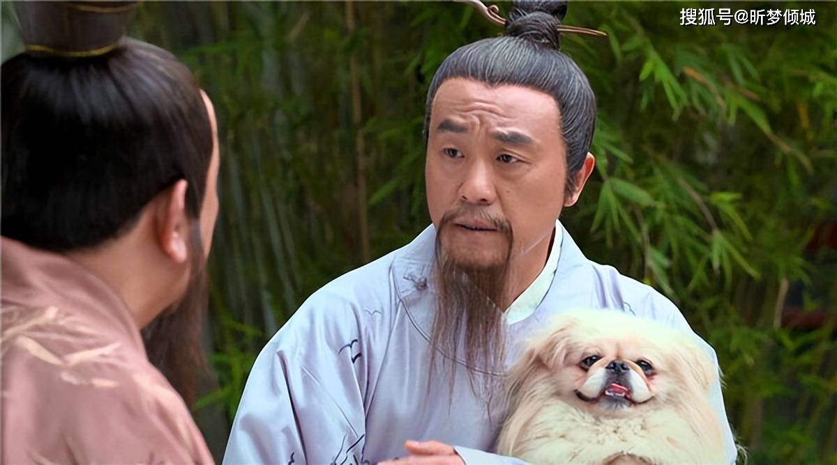 揭秘劉伯溫四不象一肖的神秘面紗——探尋背后的傳奇故事，揭秘劉伯溫四不象一肖背后的傳奇故事，神秘面紗下的神秘傳說