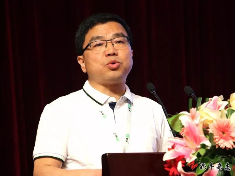 王中王一平特肖，揭秘第100期的秘密與策略，揭秘第100期秘密與策略，王中王一平特肖獨(dú)家解析