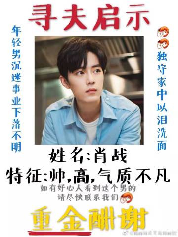 一肖一碼一一肖一子善，探尋命運(yùn)密碼與智慧之光的完美結(jié)合，命運(yùn)密碼與智慧之光，一肖一碼一一肖一子善的探尋