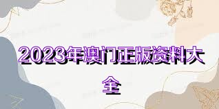 澳門資料大全正版資料查詢，探索澳門的文化與歷史深度之旅，澳門文化與歷史深度探索，正版資料大全及查詢指南