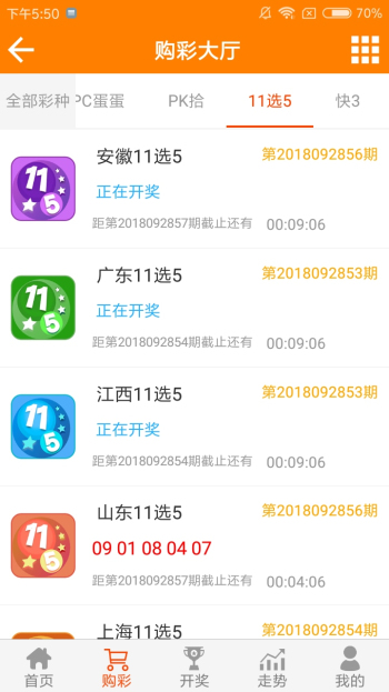 王中王資料一肖一特，深度解析與探索，王中王資料一肖一特，深度解析與探索揭秘