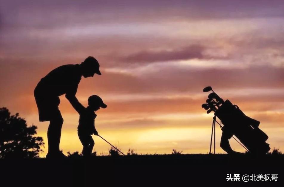森林高手王中王與神秘生肖——深度解讀背后的故事與秘密，森林高手王中王與神秘生肖，故事背后的深度解讀與秘密探尋