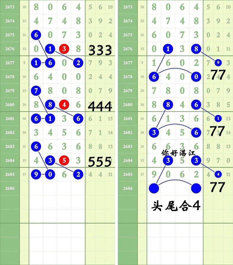 一肖三碼王中王絕密，揭秘背后的秘密與策略洞察，揭秘一肖三碼王中王絕密策略與背后秘密