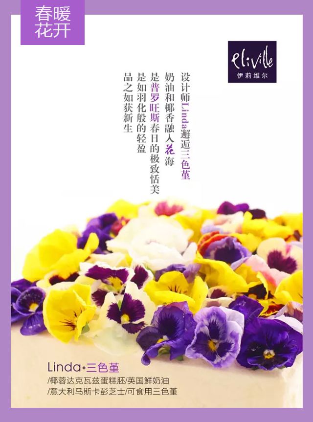 王中王339期指一生肖——探尋背后的秘密與玄機，探尋王中王339期生肖背后的秘密與玄機