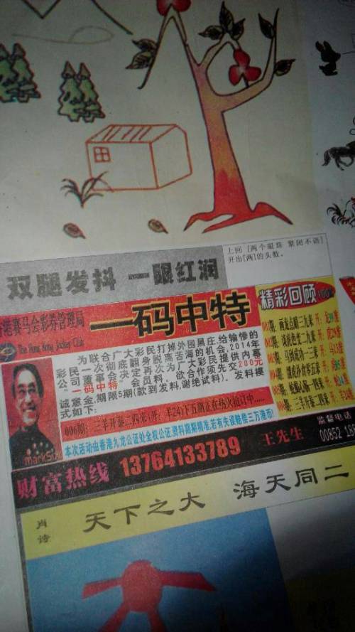 欲錢(qián)詩(shī)猜一肖——探尋王中王的奧秘，探尋王中王的奧秘，欲錢(qián)詩(shī)猜一肖