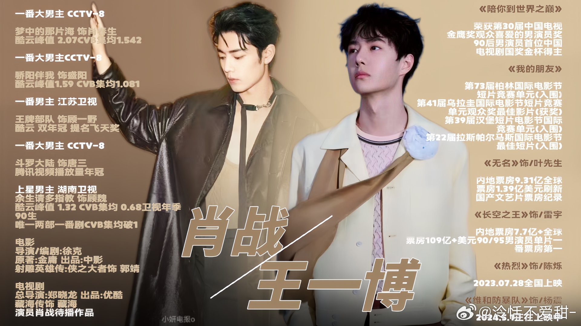 王中王一肖中特全年資料解析與SEO優(yōu)化策略，王中王一肖中特全年資料解析與SEO策略詳解