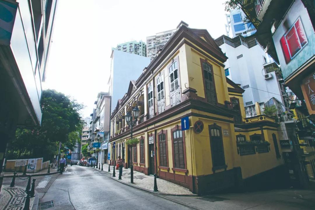 澳門(mén)今晚必開(kāi)一肖，揭秘生肖運(yùn)勢(shì)與預(yù)測(cè)邏輯，澳門(mén)今晚生肖預(yù)測(cè)揭秘，生肖運(yùn)勢(shì)與預(yù)測(cè)邏輯分析