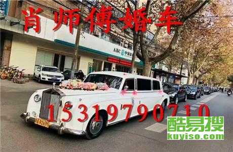 王中王車奪平特一肖免費(fèi)——深度解析與探索，王中王車奪平特一肖，深度解析與免費(fèi)探索