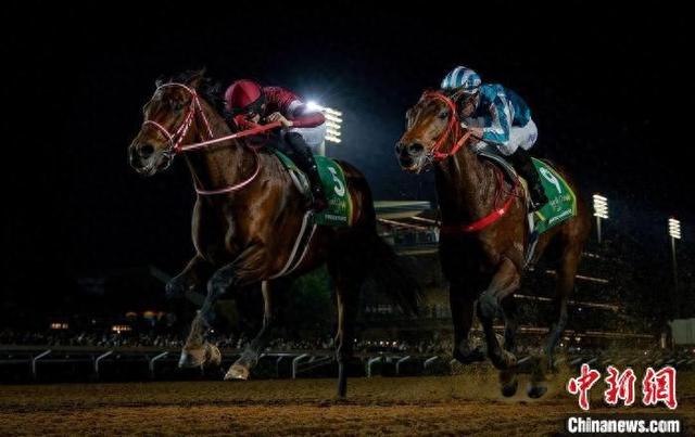 香港王中王一肖中特馬，探索背后的奧秘，香港王中王一肖中特馬背后的奧秘探索