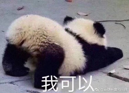 揭秘劉伯溫特一肖與四不像的神秘面紗——探尋背后的故事與真相，劉伯溫特一肖與四不像背后的故事與真相揭秘