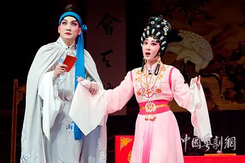 新澳門狀元紅中特網，探索與解析，澳門狀元紅中特網深度解析與探索