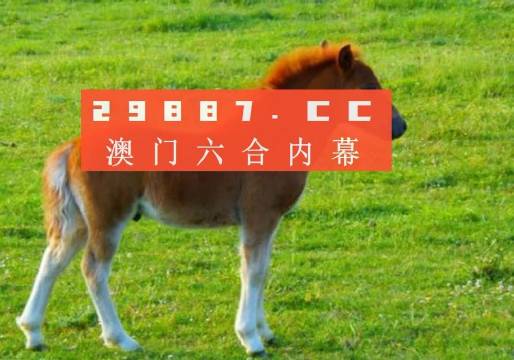 新奧門一肖一馬平特大全，揭秘熱門關鍵詞背后的故事，揭秘新澳門熱門關鍵詞背后的故事，一肖一馬平特大全