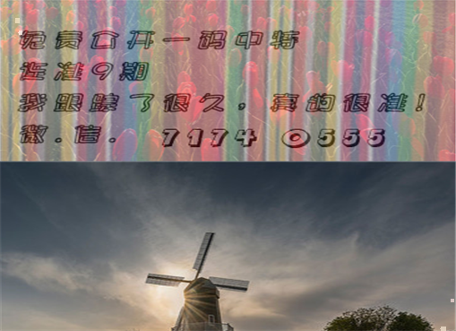 王中王四肖三期必出一期，揭秘彩票背后的秘密策略與技巧，揭秘彩票策略與技巧，王中王四肖三期必出一期之道