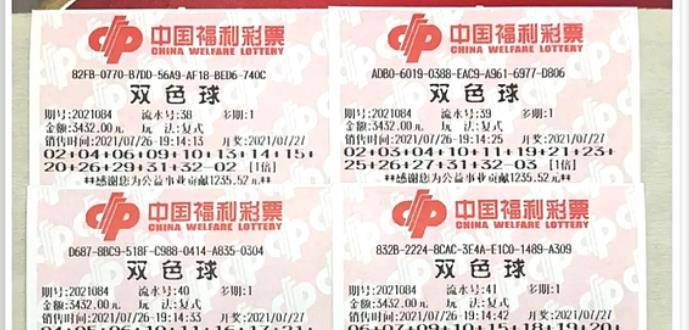 王中王084期指一生肖，解讀背后的秘密與生肖運(yùn)勢分析，王中王084期生肖揭秘，秘密解讀與運(yùn)勢展望