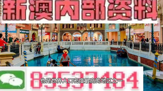 澳門王中王六碼新澳門，探索與解析，澳門王中王六碼新澳門，深度探索與解析