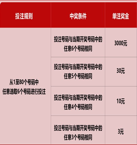 新澳門六開彩天天開獎結果，揭秘彩票背后的秘密，揭秘新澳門六開彩天天開獎背后的秘密