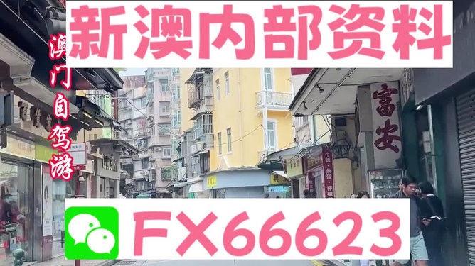 新澳精準(zhǔn)資料免費提供，探索與利用資源助力成功，新澳精準(zhǔn)資料免費分享，助力成功探索與利用資源