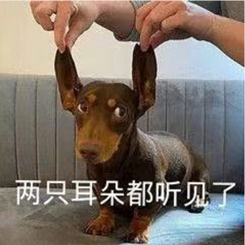 王中王四不象必中一肖，揭秘背后的秘密與策略，揭秘王中王四不象必中一肖背后的秘密與策略之道
