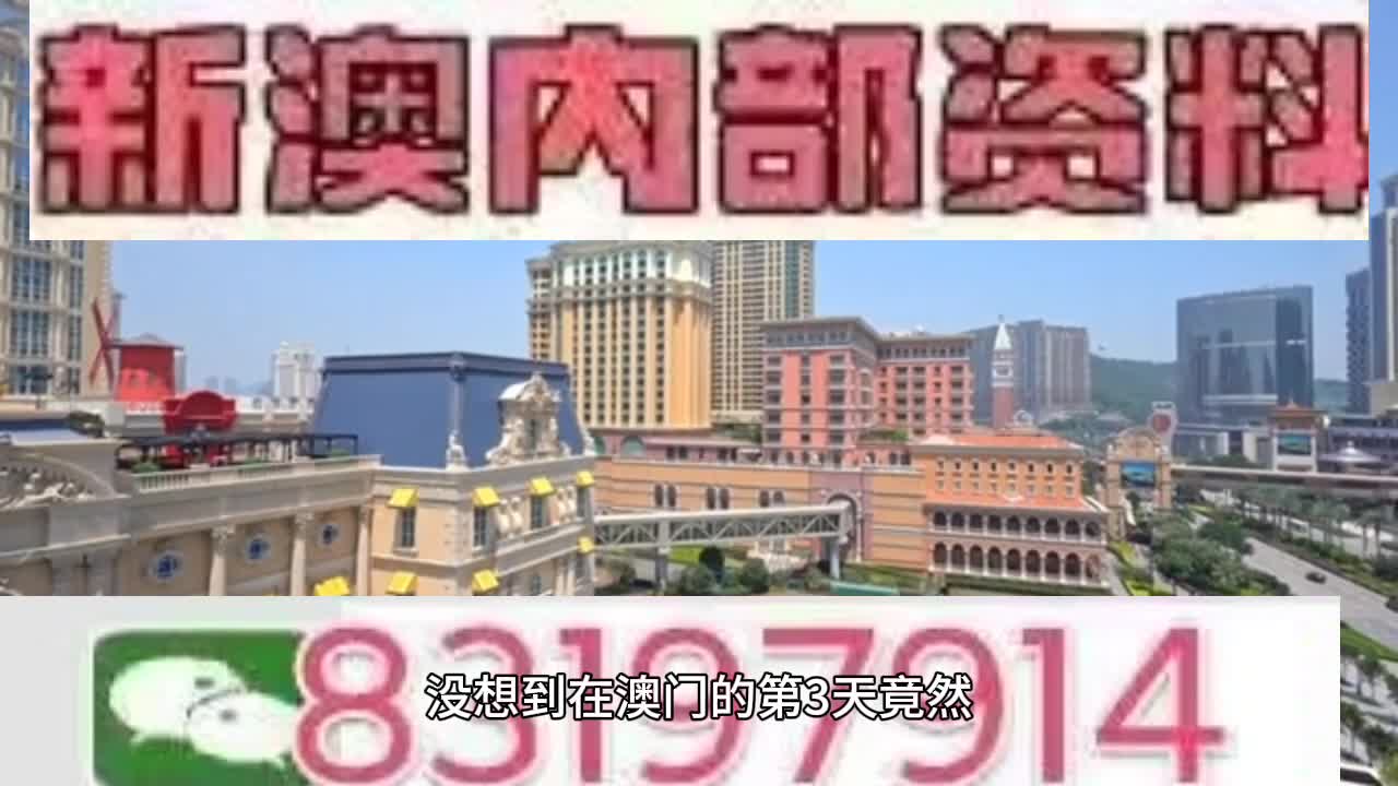 新澳門今晚必開一肖一特，探索生肖與特碼的魅力，澳門生肖特碼探索，今晚必開一肖一特之魅力