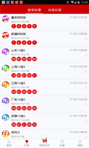 一碼一肖，揭秘背后的秘密與探索其獨(dú)特魅力，揭秘一碼一肖背后的秘密與獨(dú)特魅力探索