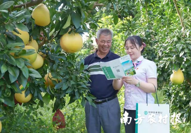 資料大全正版資料2025，一站式獲取所有你需要的信息，資料大全正版資料2025，一站式獲取所有信息總匯