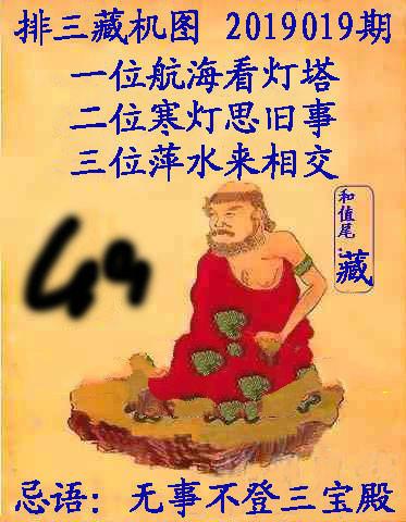 王中王019期指一生肖，深度解讀與SEO優(yōu)化策略，王中王019期生肖深度解讀與SEO策略優(yōu)化指南