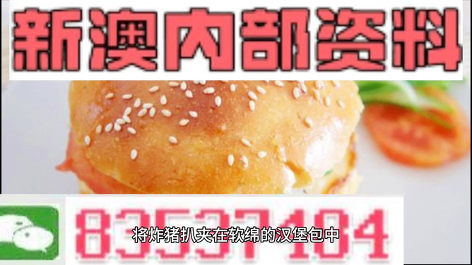 2025新澳正版資料精準(zhǔn)解析，2025新澳正版資料精準(zhǔn)解析手冊(cè)