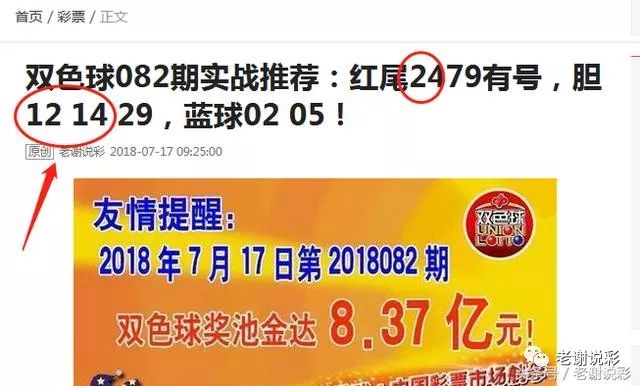 王中王082期指一生肖——探尋生肖魅力，洞悉運勢奧秘，探尋生肖魅力，揭秘運勢奧秘——王中王生肖運勢解析 082期
