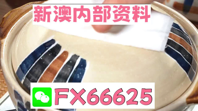新澳精準(zhǔn)資料免費提供，探索與實踐的指南，新澳精準(zhǔn)資料免費分享，探索與實踐的導(dǎo)航指南