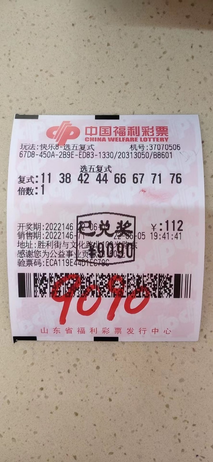 揭秘002期王中王平特一肖，背后的故事與奧秘，揭秘王中王平特一肖背后的故事與奧秘（第002期）