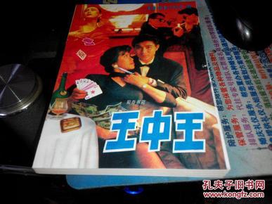 王中王資料一肖中特小說(shuō)，深度解析與探索，王中王資料一肖中特小說(shuō)的深度解析與探索之旅