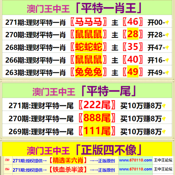 王中王四肖中特一期期誰(shuí)，深度解析與探索，王中王四肖中特一期深度解析與探索