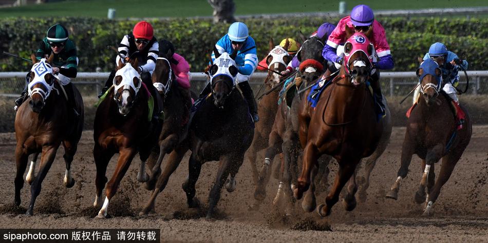 王中王與一馬中特，探尋生肖之魅力——關于生肖屬相的獨特解讀，揭秘生肖魅力，王中王與一馬中特的獨特解讀