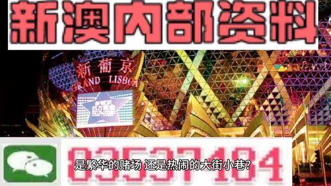 新澳門精準資料大全管家婆料，探索與解析，澳門精準資料大全解析，探索管家婆料內幕