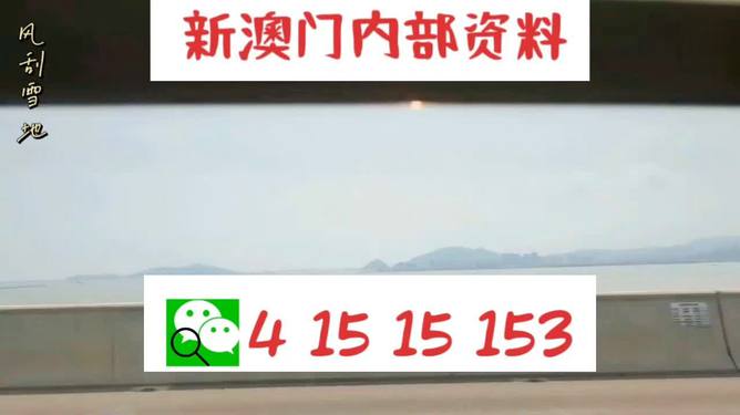 新澳2025最新資料生肖，深度解析與預(yù)測展望，新澳2025最新生肖資料深度解析與未來預(yù)測展望