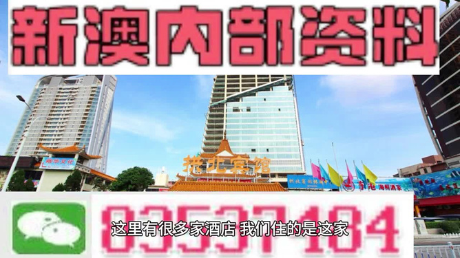新澳內(nèi)部期期精準(zhǔn)，深度解析與SEO優(yōu)化策略，新澳內(nèi)部期期精準(zhǔn)深度解析與SEO優(yōu)化策略探討
