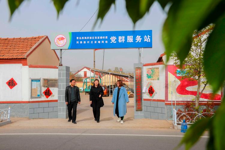 2025新澳天天開彩大全——衣冠群獸探秘，2025新澳天天開彩大全，衣冠群獸探秘之旅