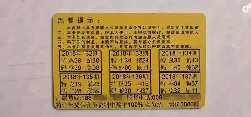 香港中特期期準(zhǔn)資料，深度解析與探索，香港中特期期準(zhǔn)資料深度解析與探索報告