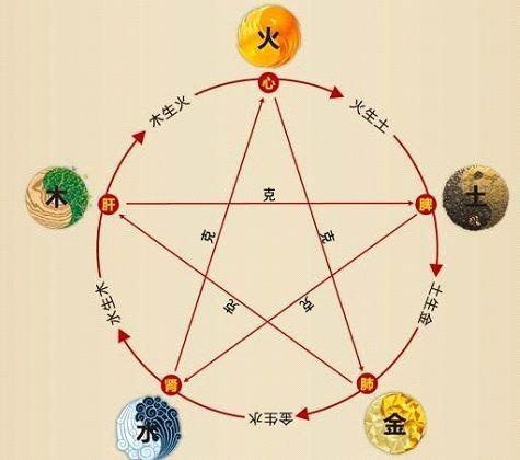 鐵算算盤4887最準(zhǔn)資料，揭秘其背后的秘密與優(yōu)勢，揭秘鐵算算盤4887，最準(zhǔn)資料背后的秘密與優(yōu)勢