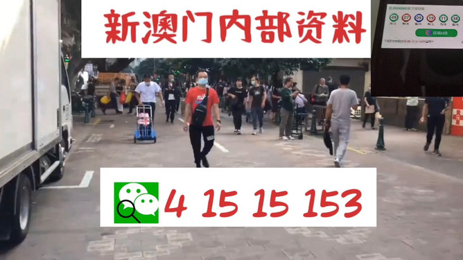 澳門管家婆一馬一中一開，揭秘背后的秘密與策略，澳門管家婆一馬一中一開，揭秘背后的秘密與策略揭秘背后的秘密與策略
