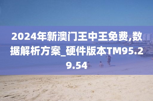 揭秘未來之星，2025新澳王中王，揭秘未來之星，2025新澳王中王風采展示
