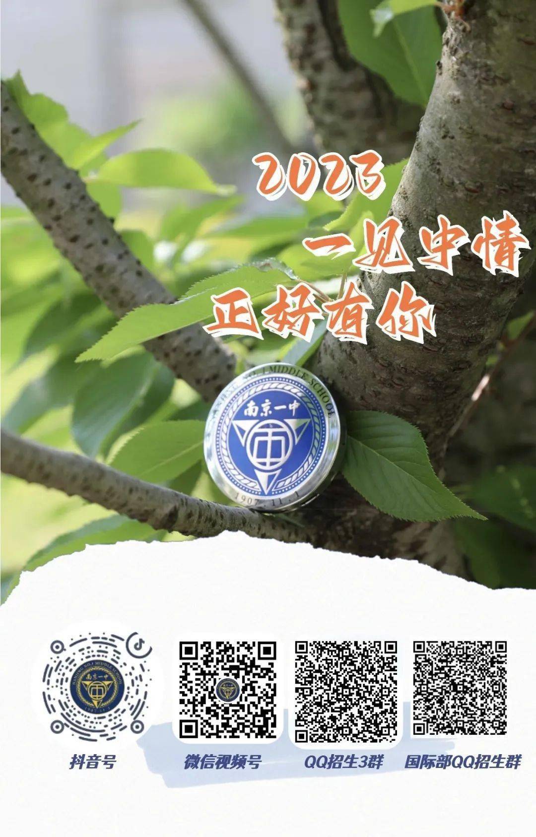 一碼一肖一特一中，揭秘背后的秘密與奧秘，揭秘一碼一肖一特一中背后的秘密奧秘