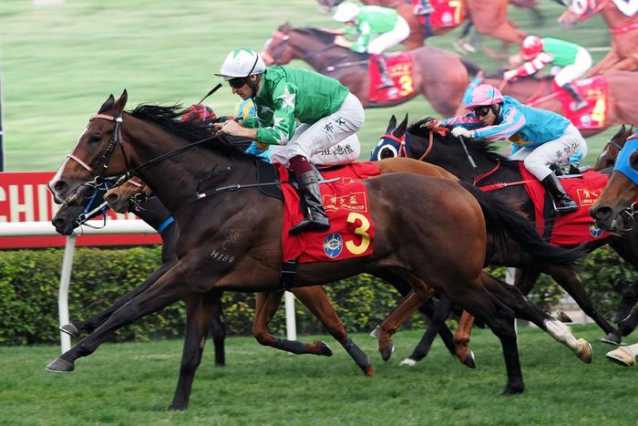 探索香港馬官網，一站式體驗7777788888的賽馬世界，探索香港馬官網，一站式賽馬世界體驗