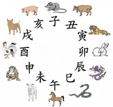 澳門天天彩期期精準(zhǔn)十二生肖預(yù)測——揭秘彩票秘密，澳門天天彩期期精準(zhǔn)十二生肖預(yù)測，揭秘彩票秘密之獨家解析