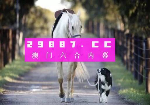 澳門彩的奧秘世界與SEO優(yōu)化策略探討 —— www.04812com的獨(dú)家解析，澳門彩奧秘與SEO優(yōu)化策略獨(dú)家解析，www.04812com深度探討