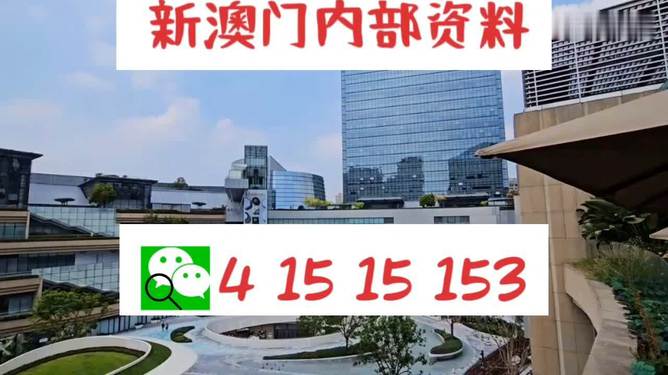 芳草地2025澳門資料，探索未來的奧秘，探索澳門未來奧秘，芳草地資料揭示的藍圖 2025年展望