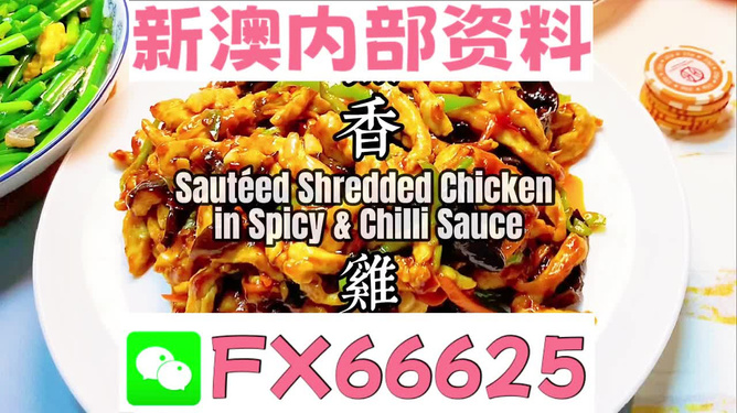 探索未來，揭秘2025年全新免費資料大全新奧精的來源與免費共享趨勢，揭秘未來，2025年全新免費資料的共享趨勢與來源探索